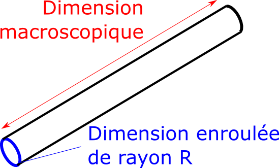 dimension enroulée