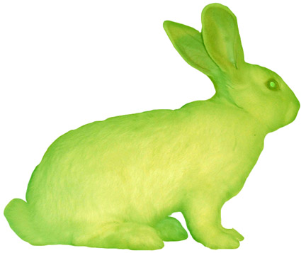 alba lapin GFP
