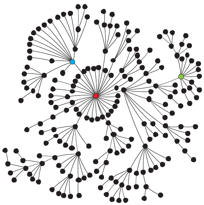 scale free network