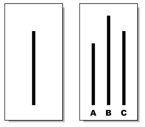 Asch_experiment
