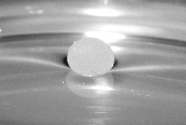 liquid marble on water