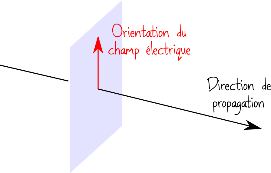 polarisation champ électromagnétique