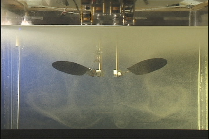 robofly
