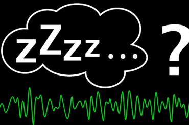 Pourquoi dort-on ?